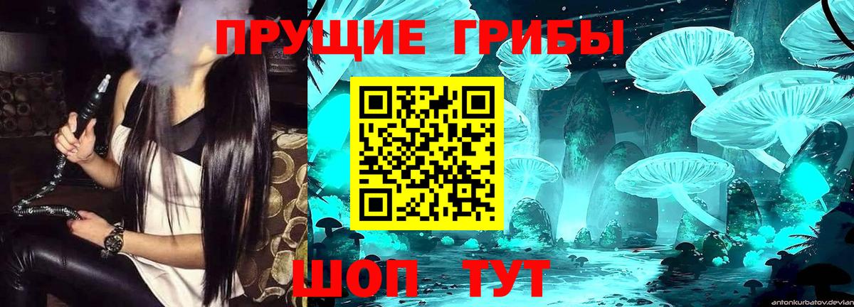 Заводоуковск  Галлюциногенные грибы Cubensis  Вход с VPN 